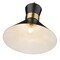 Z-Lite Soriano 1 Light Pendant, Matte Black & Heritage Brass 728P13-MB-HBR - alternate 2
